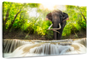 Waterfall Elephant Wall Art