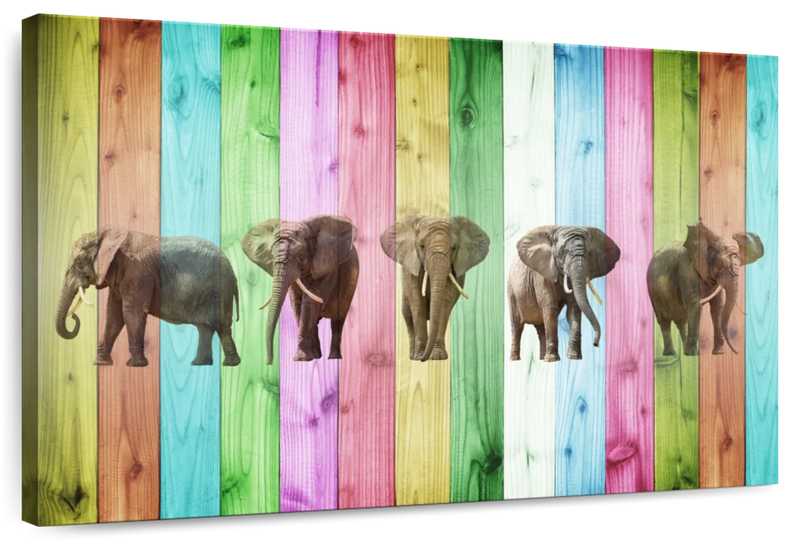 Color Stripe Elephants