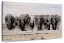 Elephants In Motion Wall Art