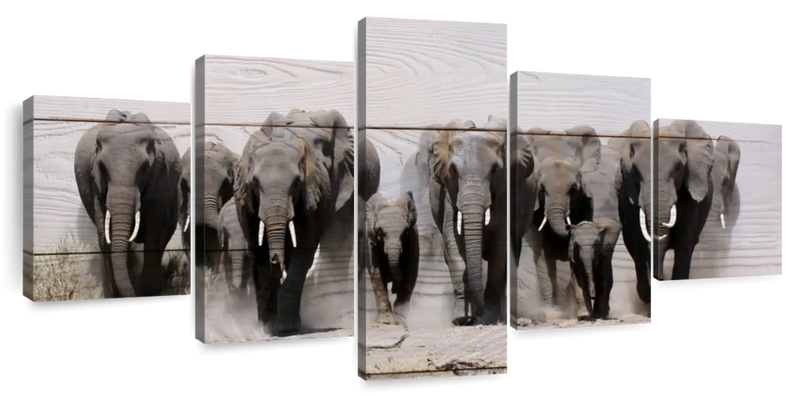 Elephants In Motion Wall Art