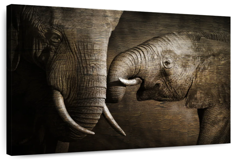 Affectionate Elephants Wall Art