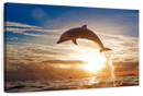 Jumping Dolphin Wall Art