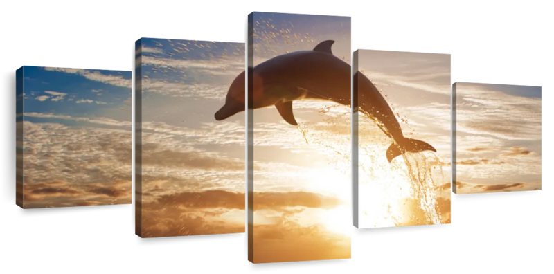 Jumping Dolphin Wall Art