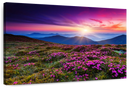 Pink Flowers At Sunset Wall Art