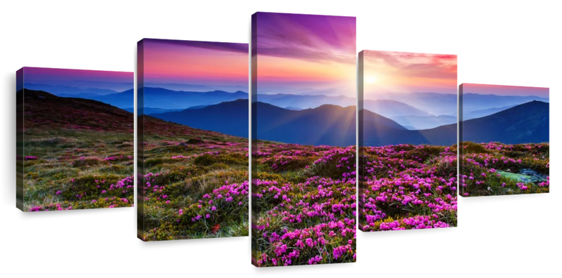 Pink Flowers At Sunset Wall Art