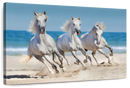 Wild Beach Horses Wall Art