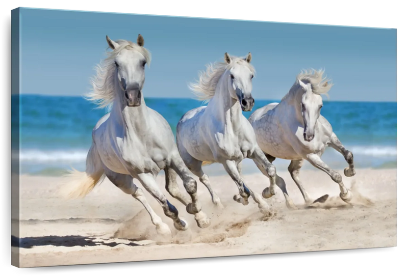 Wild Beach Horses Wall Art