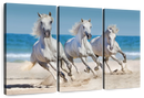 Wild Beach Horses Wall Art