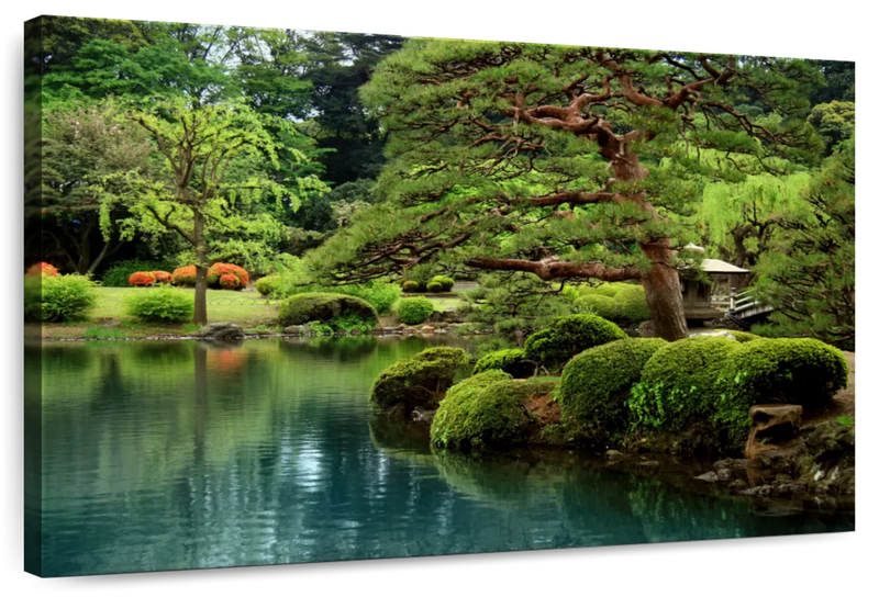 Zen Lakeside Bonsai Trees Wall Art