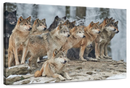Wild Wolf Pack Wall Art