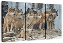 Wild Wolf Pack Wall Art