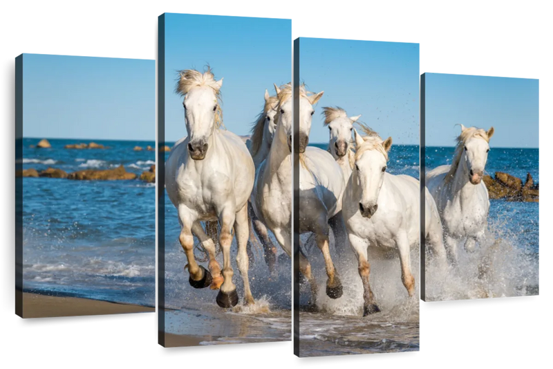 Camargue Horses Wall Art