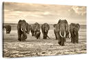 Herd Of Elephants Wall Art