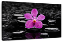 Zen Purple Orchid Wall Art