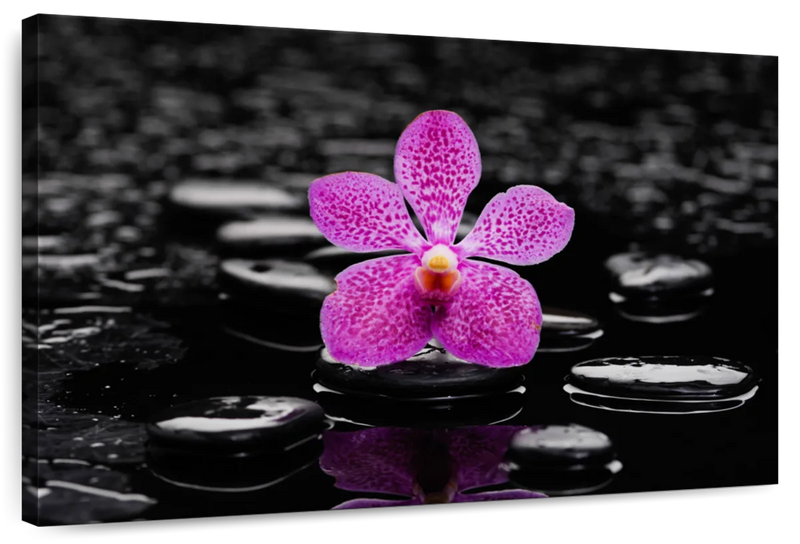 Zen Purple Orchid Wall Art