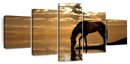 Lone Arabian Horse Wall Art
