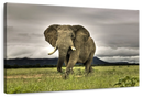 Elephant Landscape Wall Art