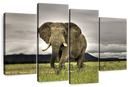 Elephant Landscape Wall Art