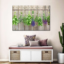 Culinary Herbs Wall Art