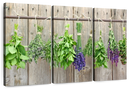 Culinary Herbs Wall Art