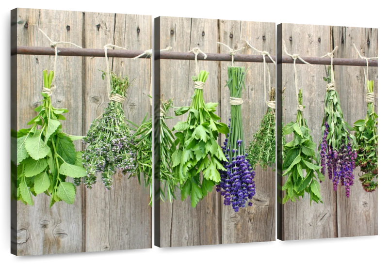 Culinary Herbs Wall Art