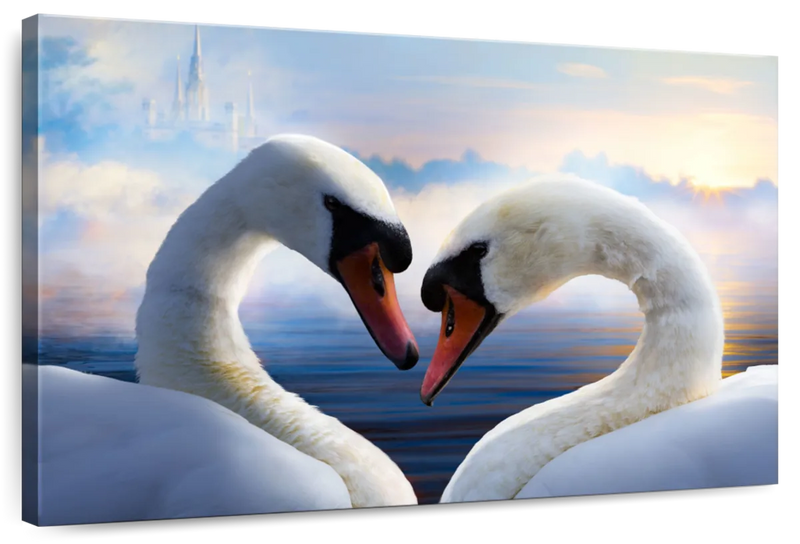 Swan Romance Wall Art