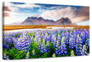 Majestic Lupines Wall Art