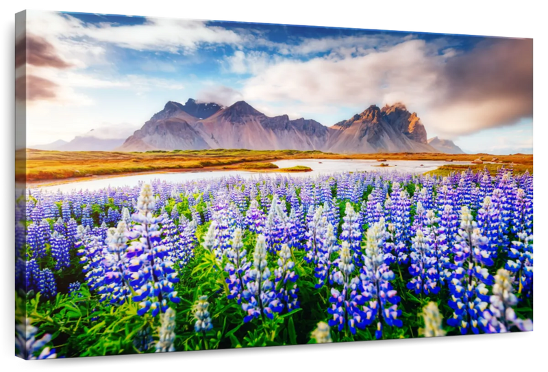 Majestic Lupines Wall Art