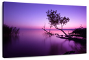 Violet Toned Lake Wall Art