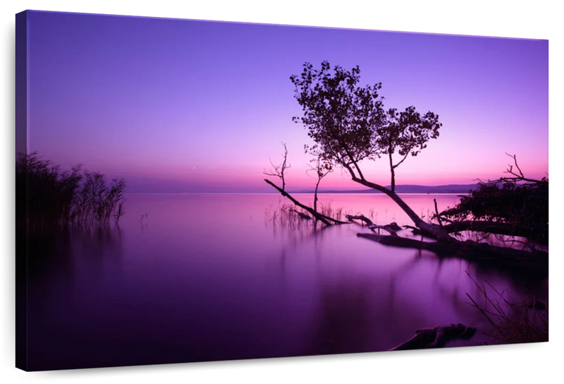 Violet Toned Lake Wall Art