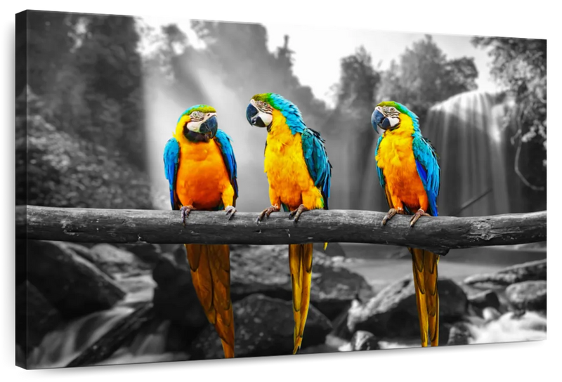 Macaw Friends Pop Wall Art