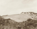 Dune Wallpaper by Adeline-Julie Bee