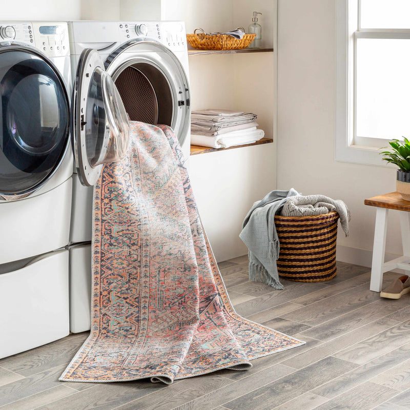 Dunsha Boutique Washable Area Rug - Clearance