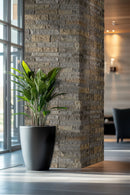 MSI Durham Fall Ledgestone