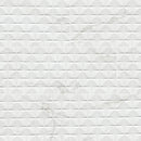 MSI Dymo Calacatta Wavy White 12x24
