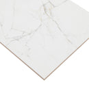 MSI Dymo Calacatta White 12x24