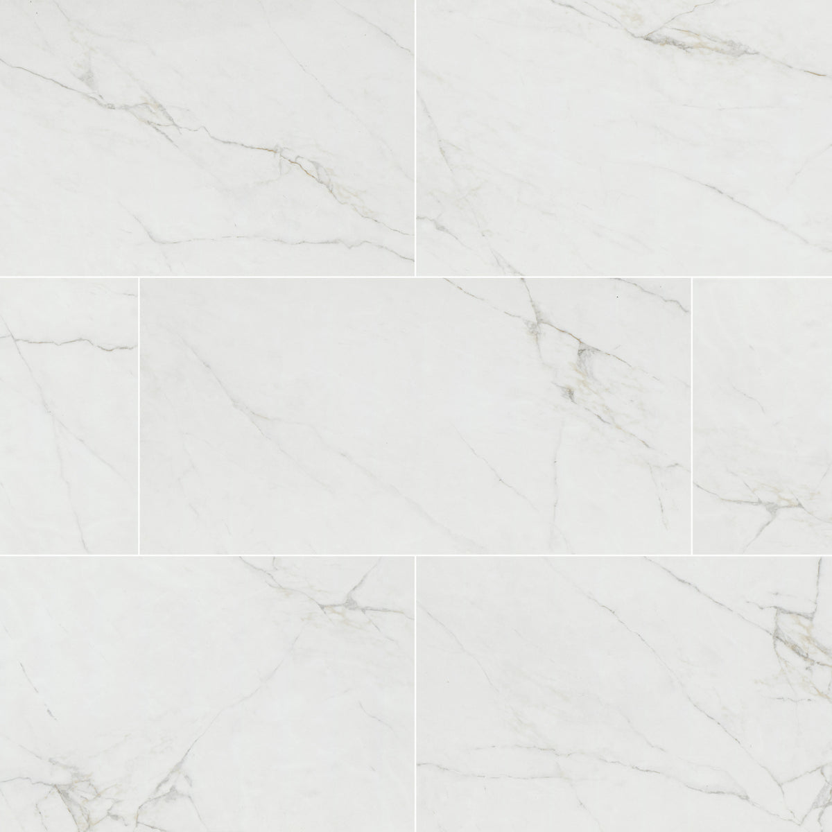 MSI Dymo Calacatta White 12x24