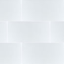 MSI Dymo Calacatta White 12x24