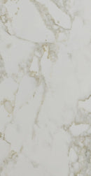 Dynamic Gold Emerstone