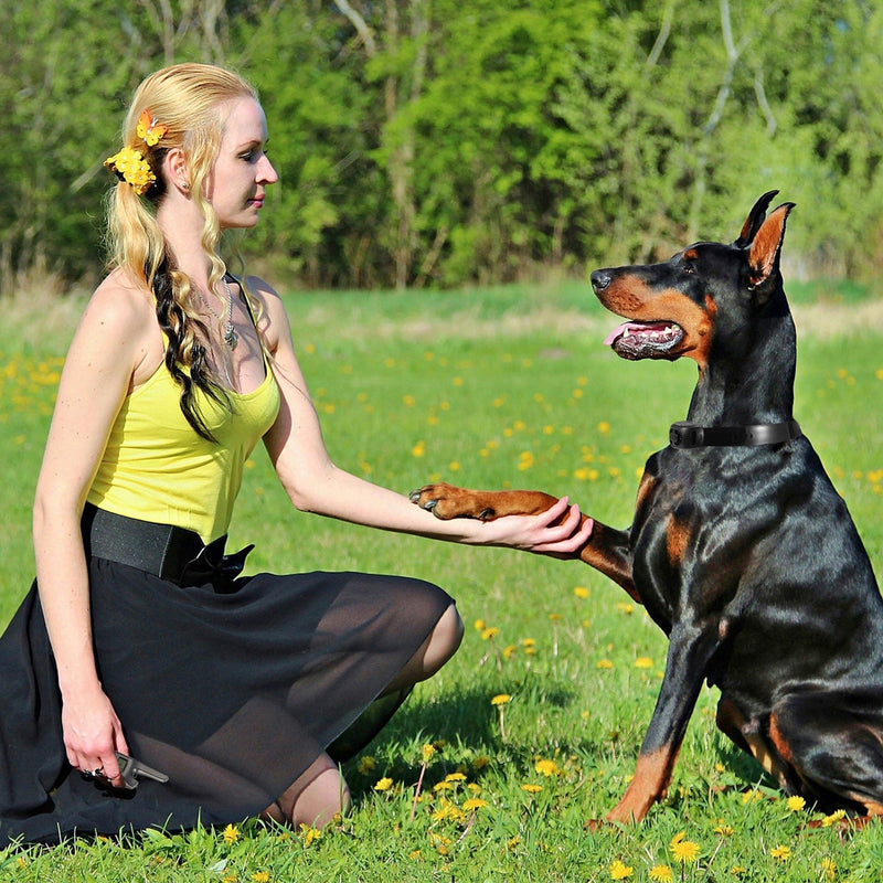 Dog Bark Collar IP67 Waterproof Rechargeable Dog Training Receiver Shock Collar Receiver with Beep Vibration Shock 9 Levels 1640ft Remote Range, photo 8 of 8