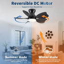 Low Profile Flush Mount Ceiling Fan With Light by HouseOfZazla