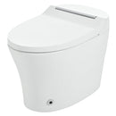 Smart Toilet with Built-in Heated Seat