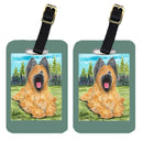 Briard Luggage Tag