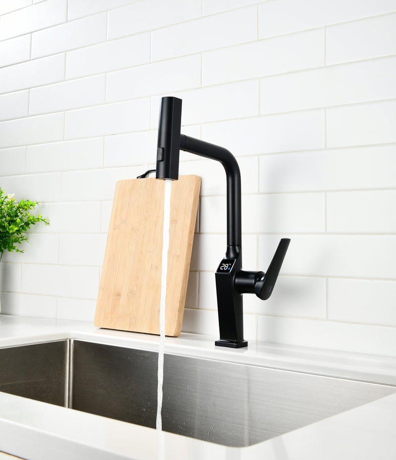 Touchless Matte Kitchen Faucet, photo 6 of 10