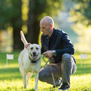 GBruno Electric Dog Fence System by GBruno Store