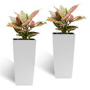 Pack of 2 Square Planters with Automatic Watering System