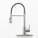 Brushed Nickel Kitchen Faucet with Pull Down Sprayer
