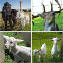 Farm Fence 5ft x 164ft 14 Gauge Heavy Zinc Coating Cattle Fence by HouseOfZazla