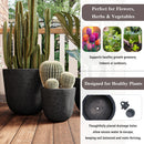 U_STYLE Lightweight MGO Planter Set of 3 by HouseOfZazla