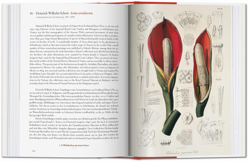 A Garden Eden. Masterpieces of Botanical Illustration. 45th Ed. (Spanish, English, Italian)